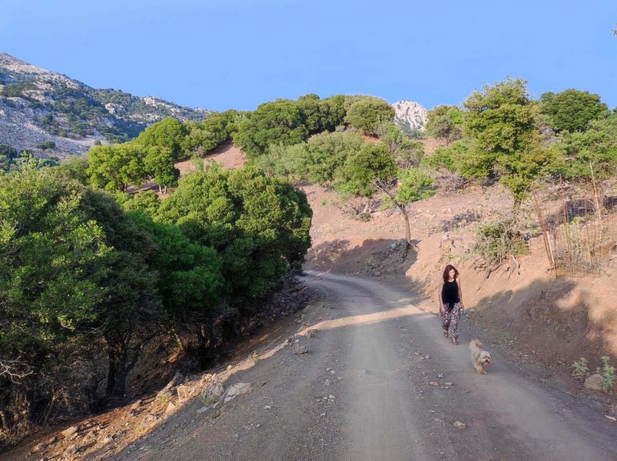 Kato Symi House Villa Kato Simi Екстериор снимка
